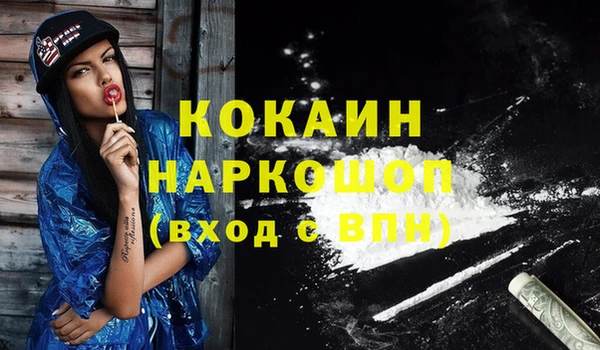 эйфоретик Бородино