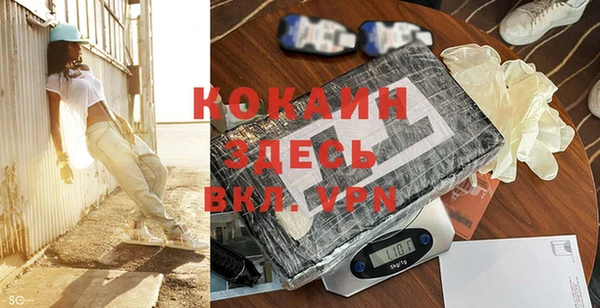 эйфоретик Бородино