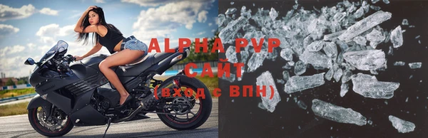 эйфоретик Бородино