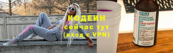 эйфоретик Бородино