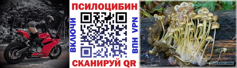 гидра tor Батайск Псилоцибиновые грибы мицелий